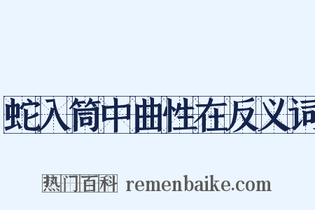 蛇入筒中曲性在反义词是什么意思的图片